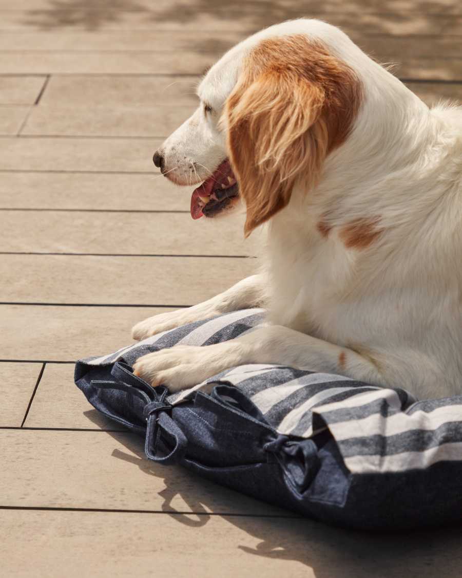 Tabby Kissen 100% Baumwolle kombiniert Streifen 50 x 80 cm