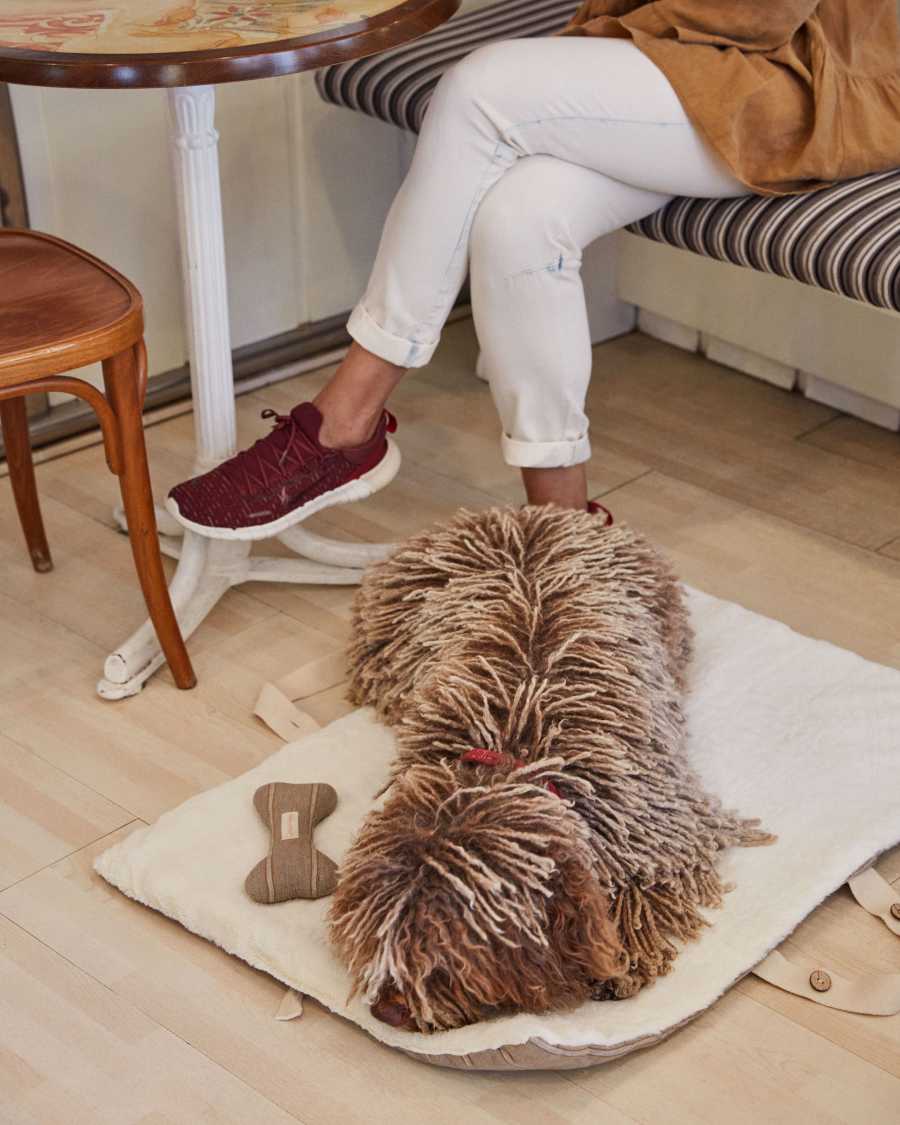 Couverture de voyage pour animaux Toby marron