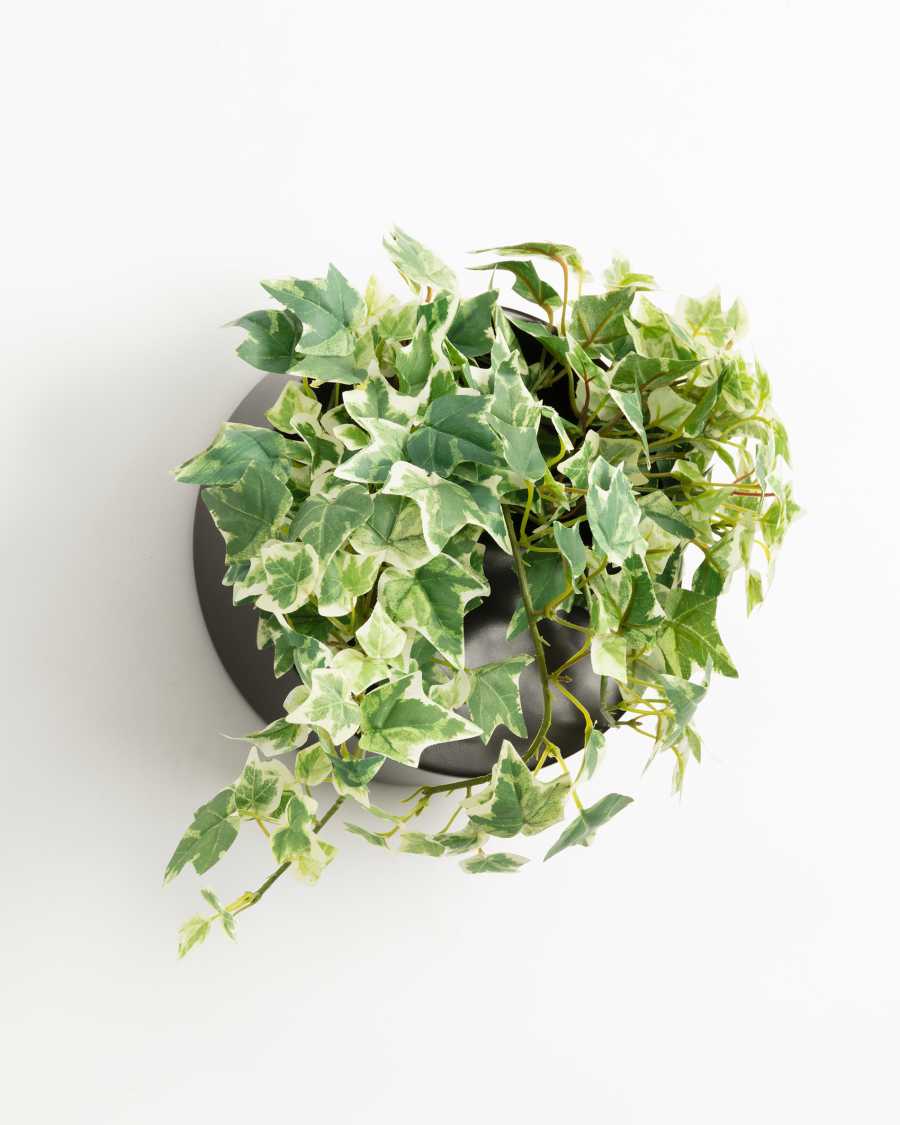 Aldina Wandblumentopf in Schwarz Ø 19 cm