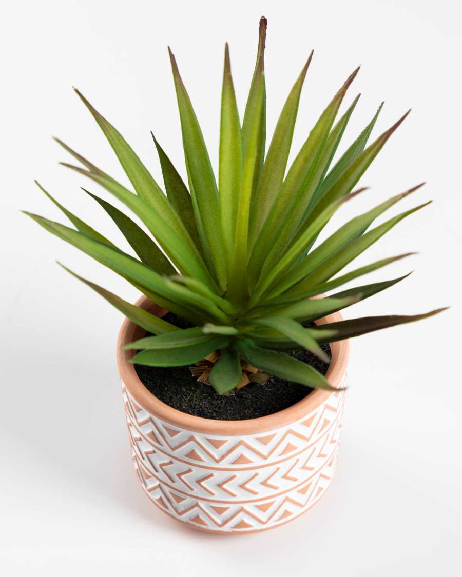 Artificial small Palm in brown and white ceramic pot