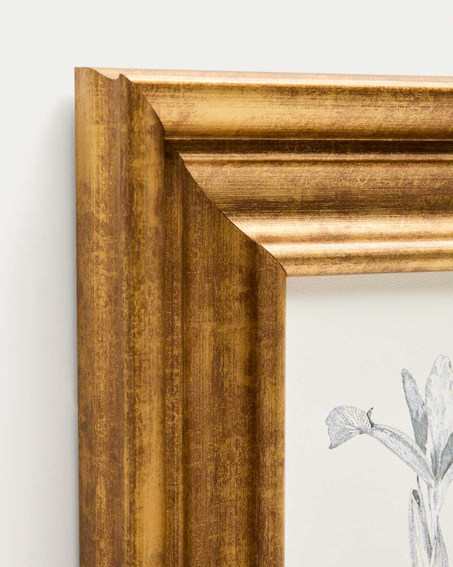 Yalira picture with botanical illustration 33 x 41 cm