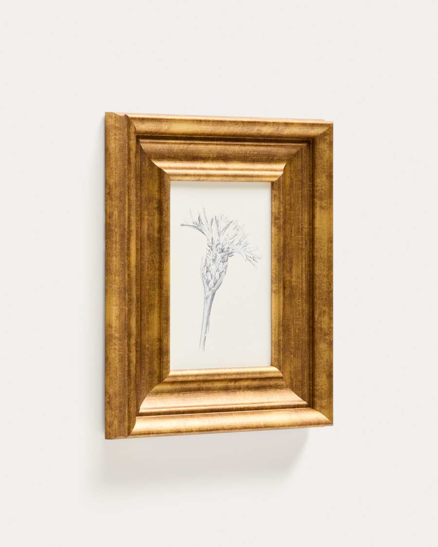 Yalira picture with botanical illustration 33 x 41 cm