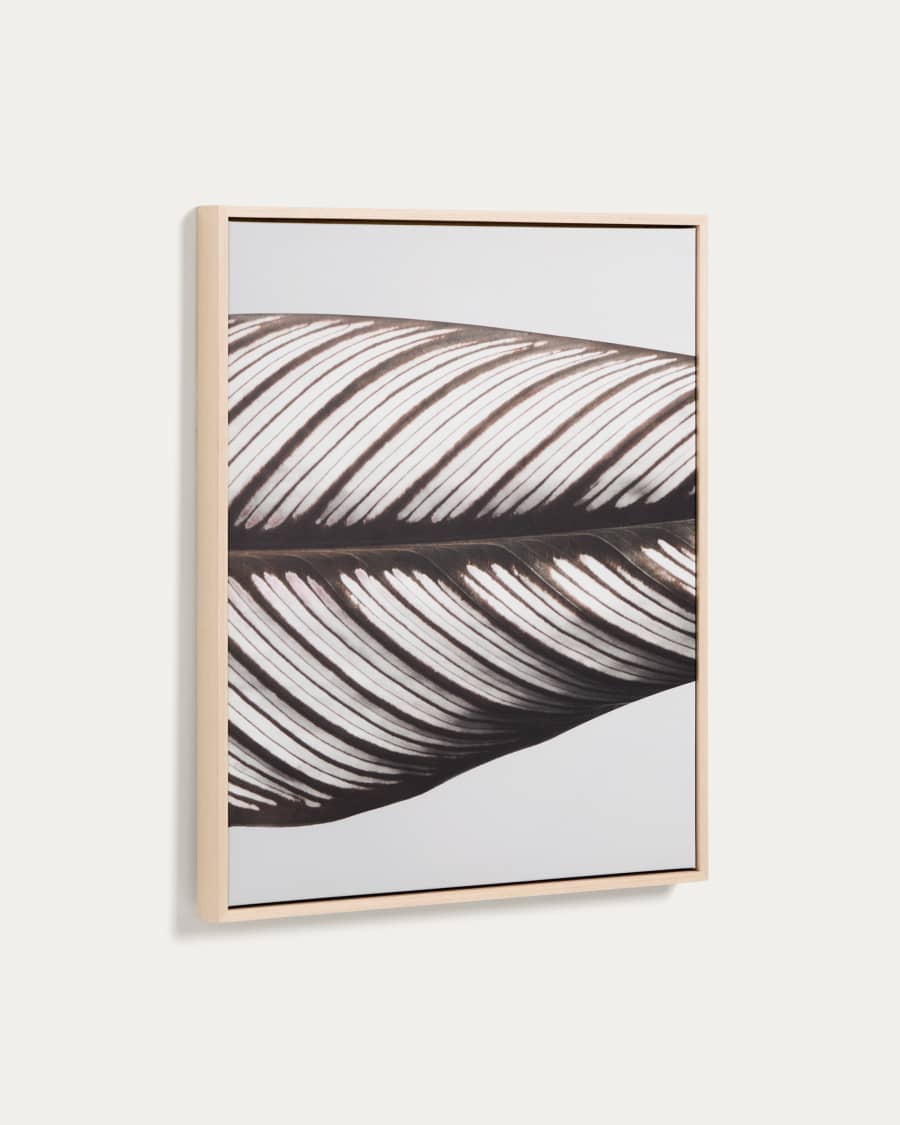 Foliae lijst met foto met bladmotief 52,5 x 62,5 cm