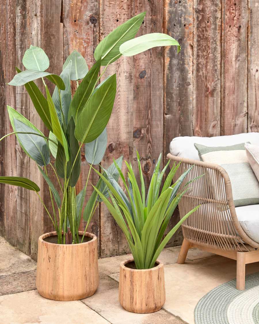 Tirsa set of 2 pots of water hyacinth and cement with natural finish Ø 25 cm / Ø 35 cm