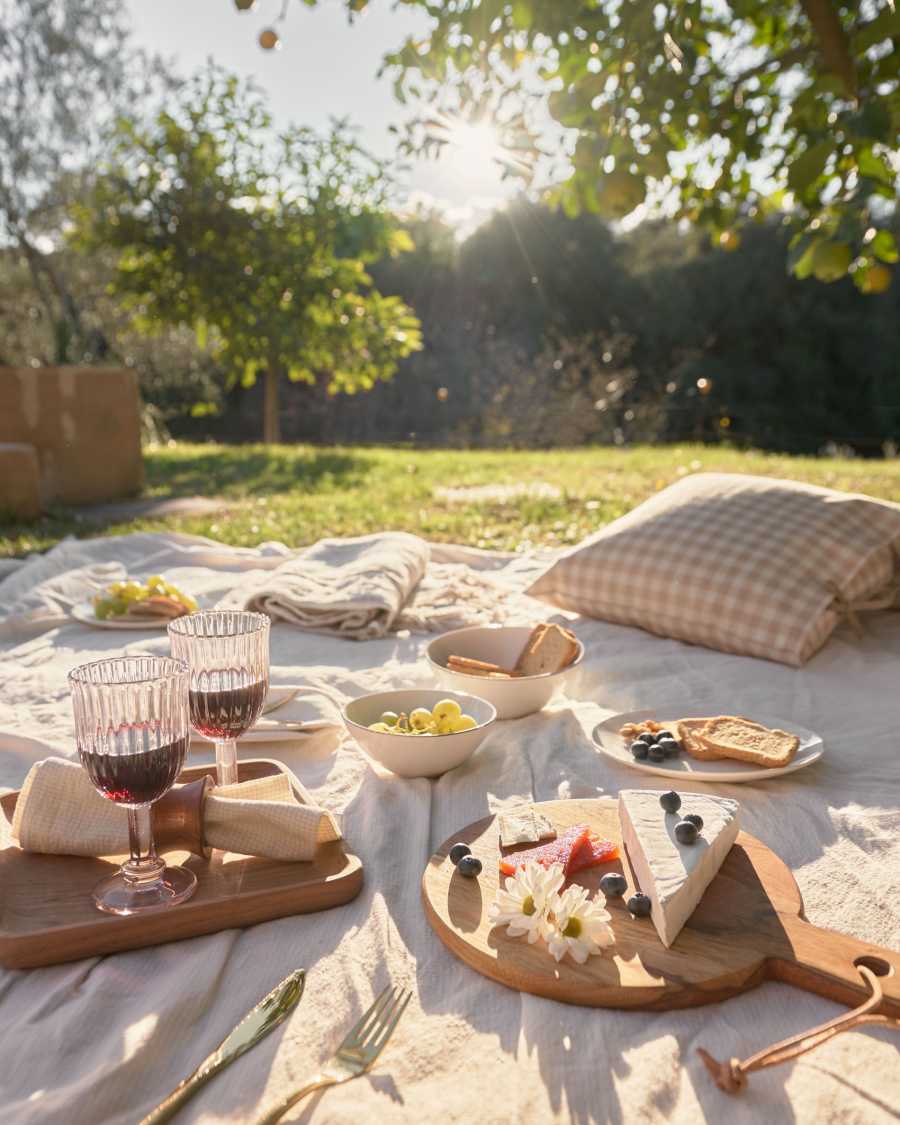 Verre à vin Savelia en verre rose clair 20 cl