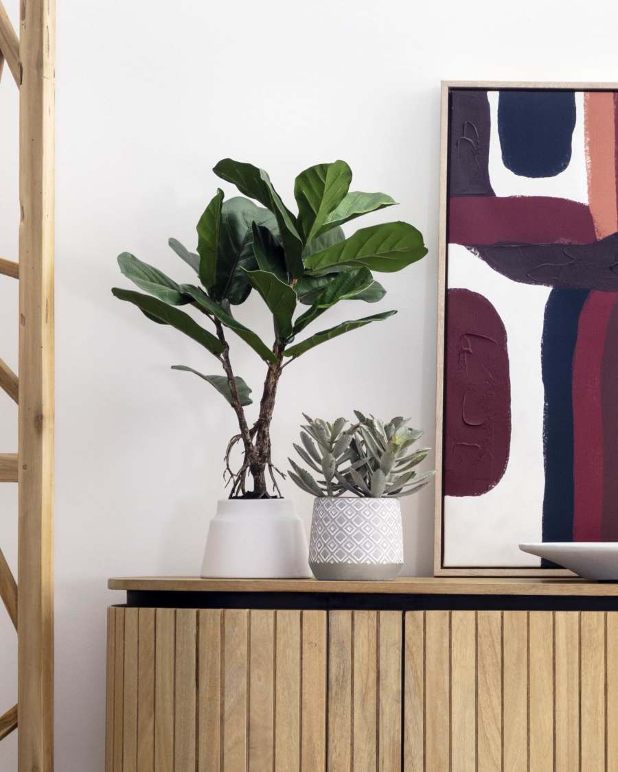 Διακοσμητικό φυτό Lyrata 60 εκ