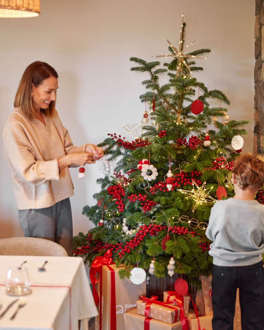 Dempsey set van 2 hangende kerstballen van rood vilt