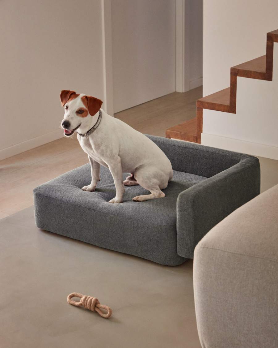 Bowie cover for small bed for pets in dark grey, 63 x 80 cm