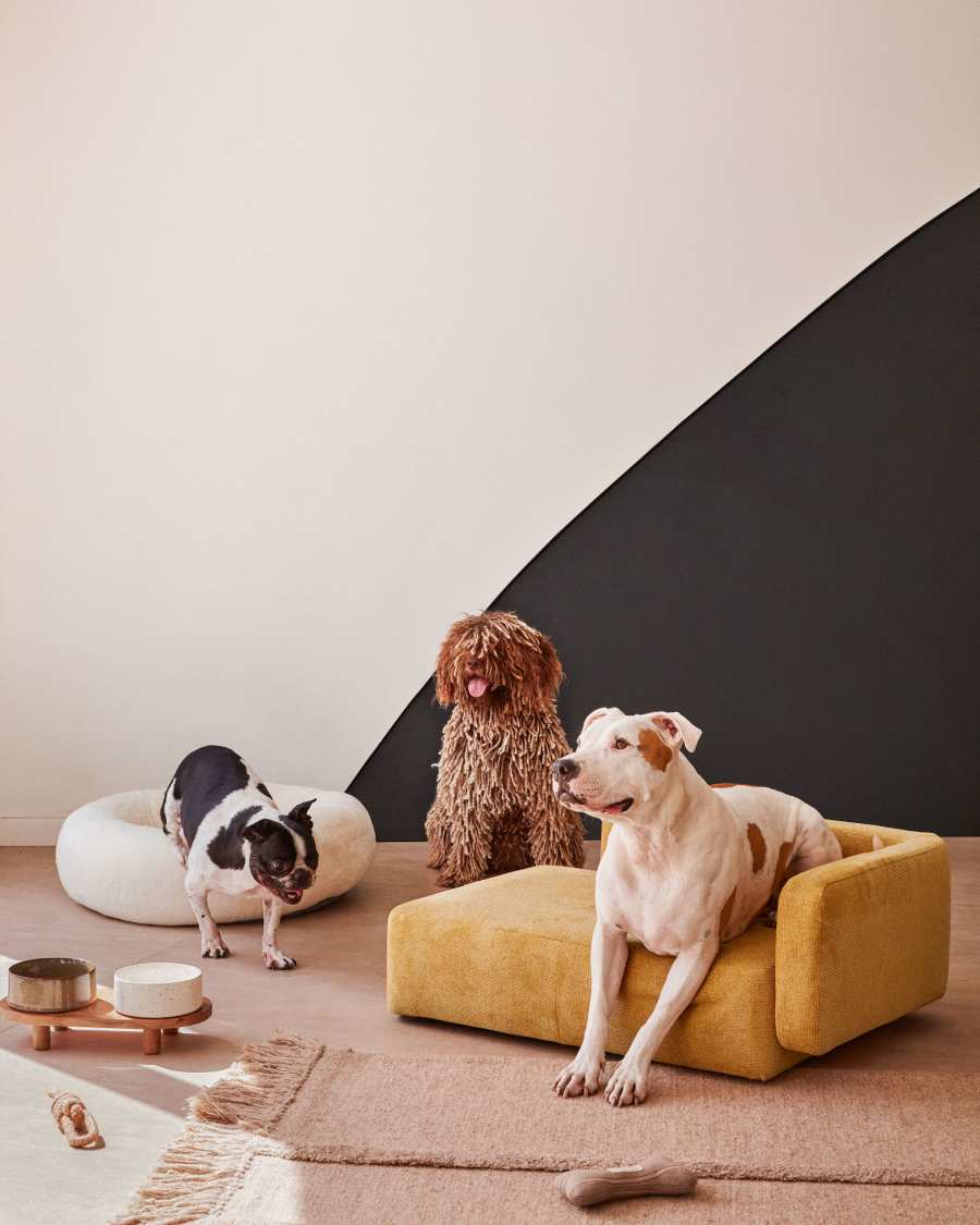 Bowie cover for small bed for pets in mustard, 63 x 80 cm