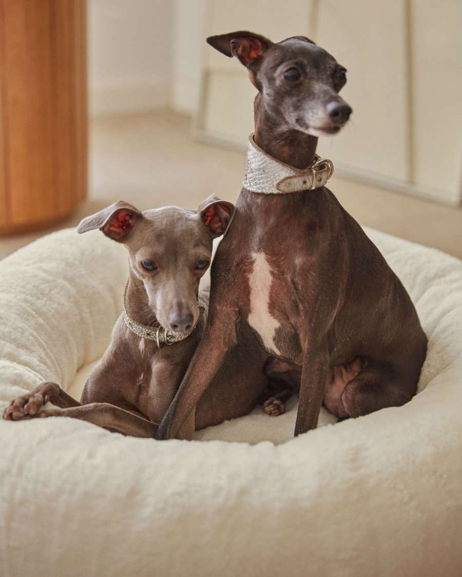 Woopy round bed for pets with with white fur small Ø 70 cm