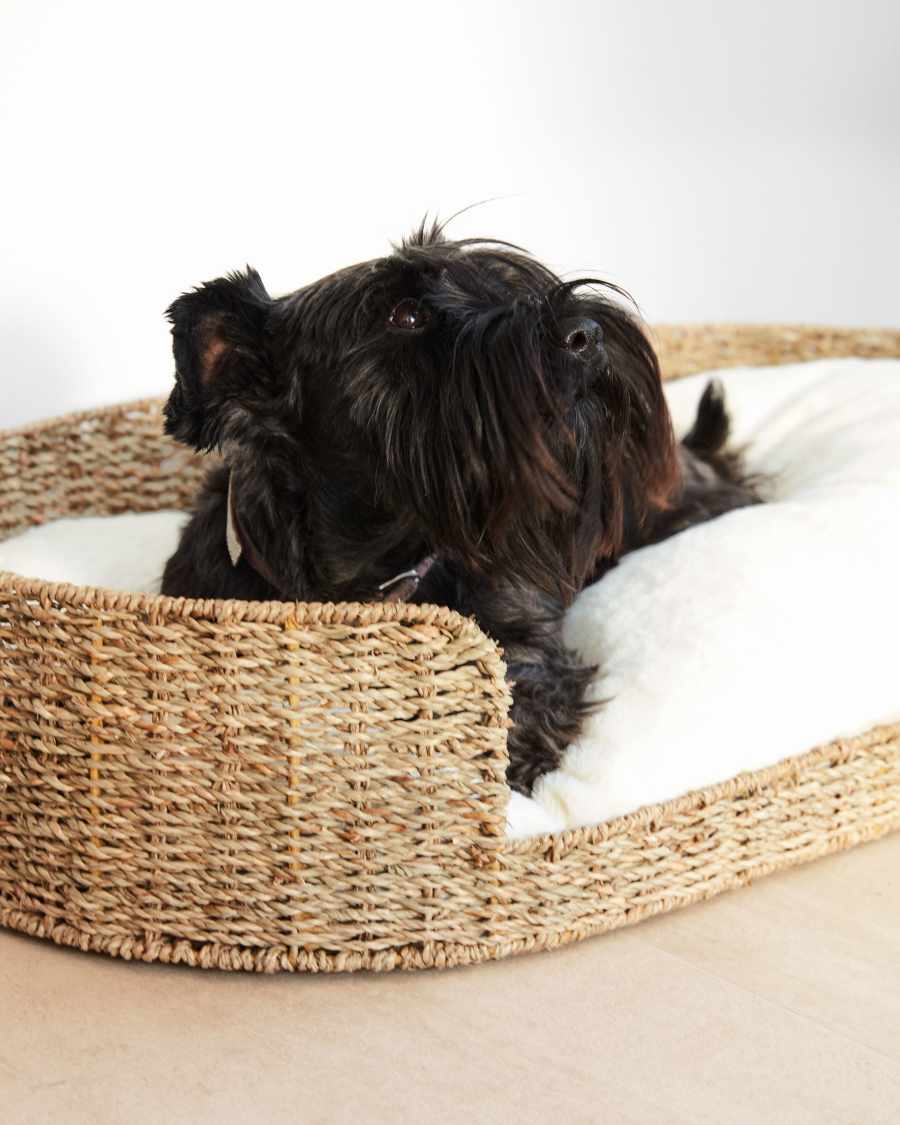 Codie tragbares Kissen für Haustier mit weißem Plüsch Ø 80 x 10 cm