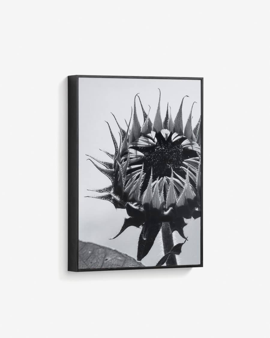 Cuadro Calantha girasol