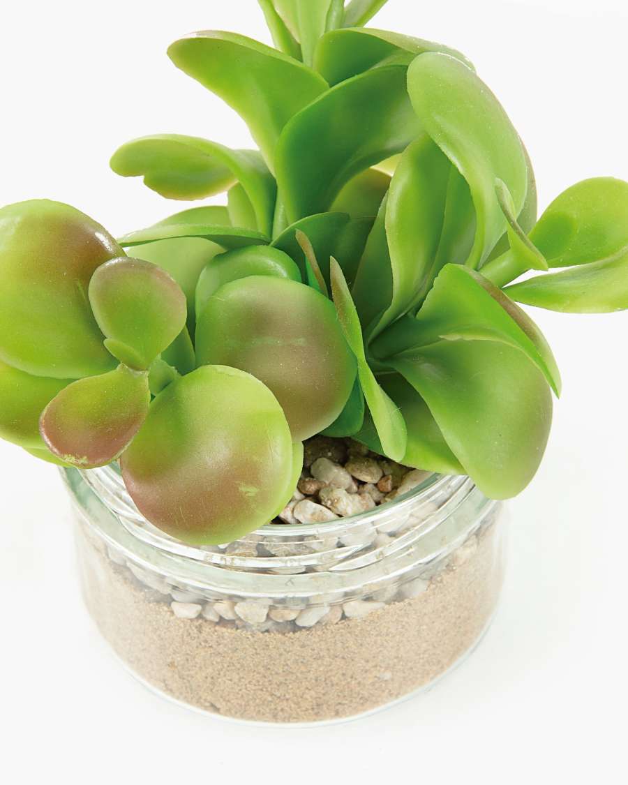 Zelena Kunstpflanze Sukkulenten Portulacaceae