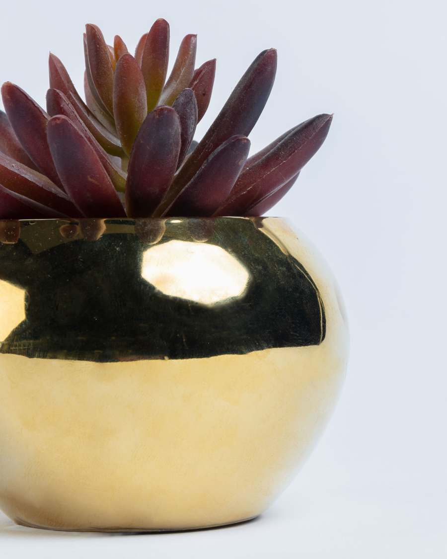 Kunstplant Sedum lucidum in goudkleur keramische pot