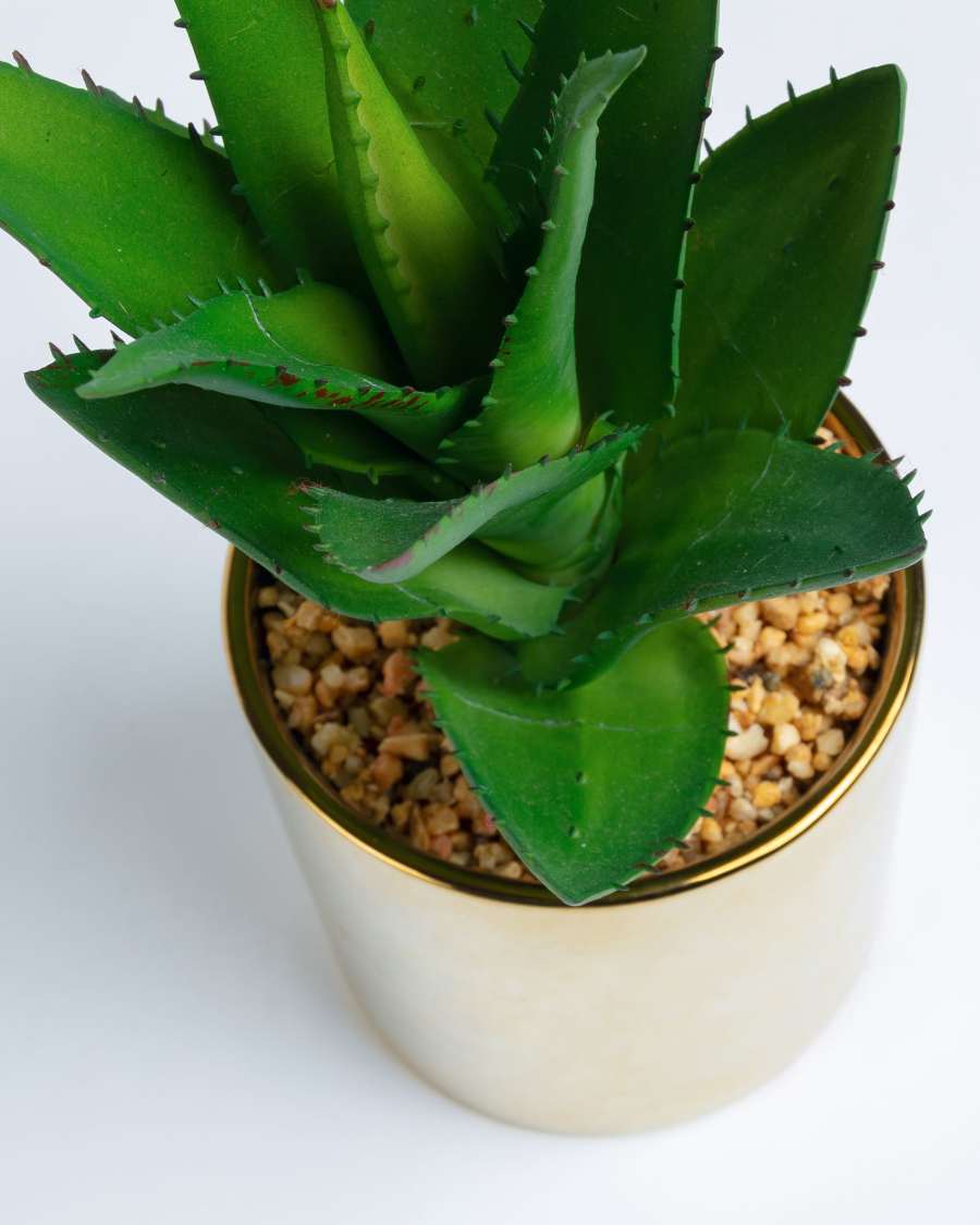 Agave artificial plant
