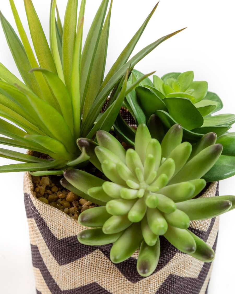 Mélanger des plantes Suculenta artificielles dans un pot de raphia naturel et noir