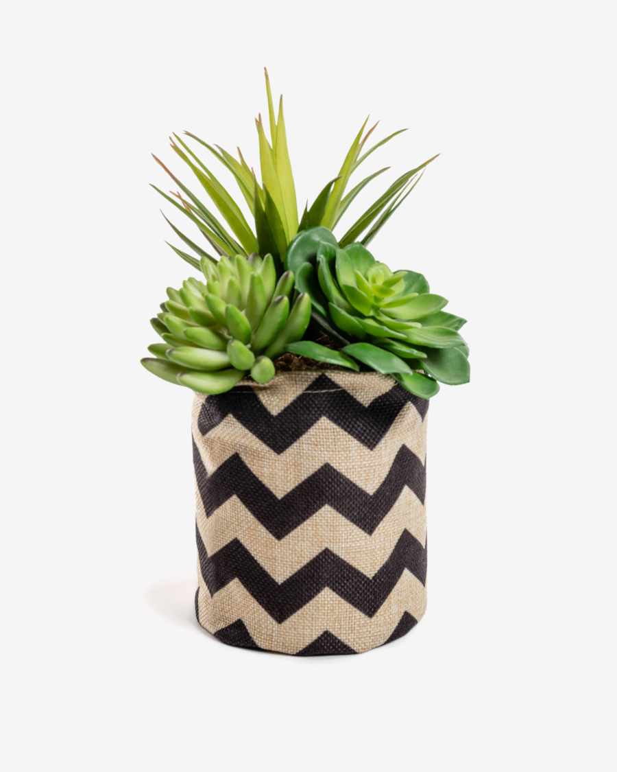 Mélanger des plantes Suculenta artificielles dans un pot de raphia naturel et noir