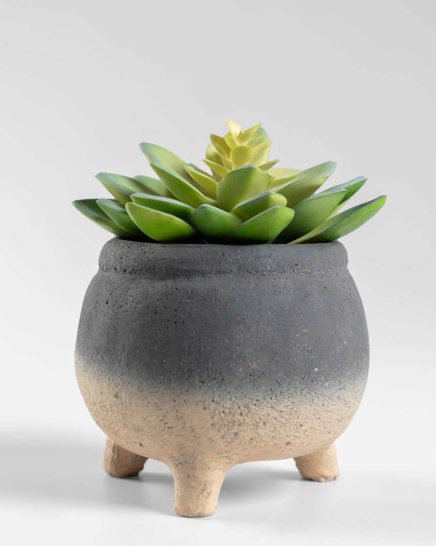 Sedum lucidum artificial plant in cement pot