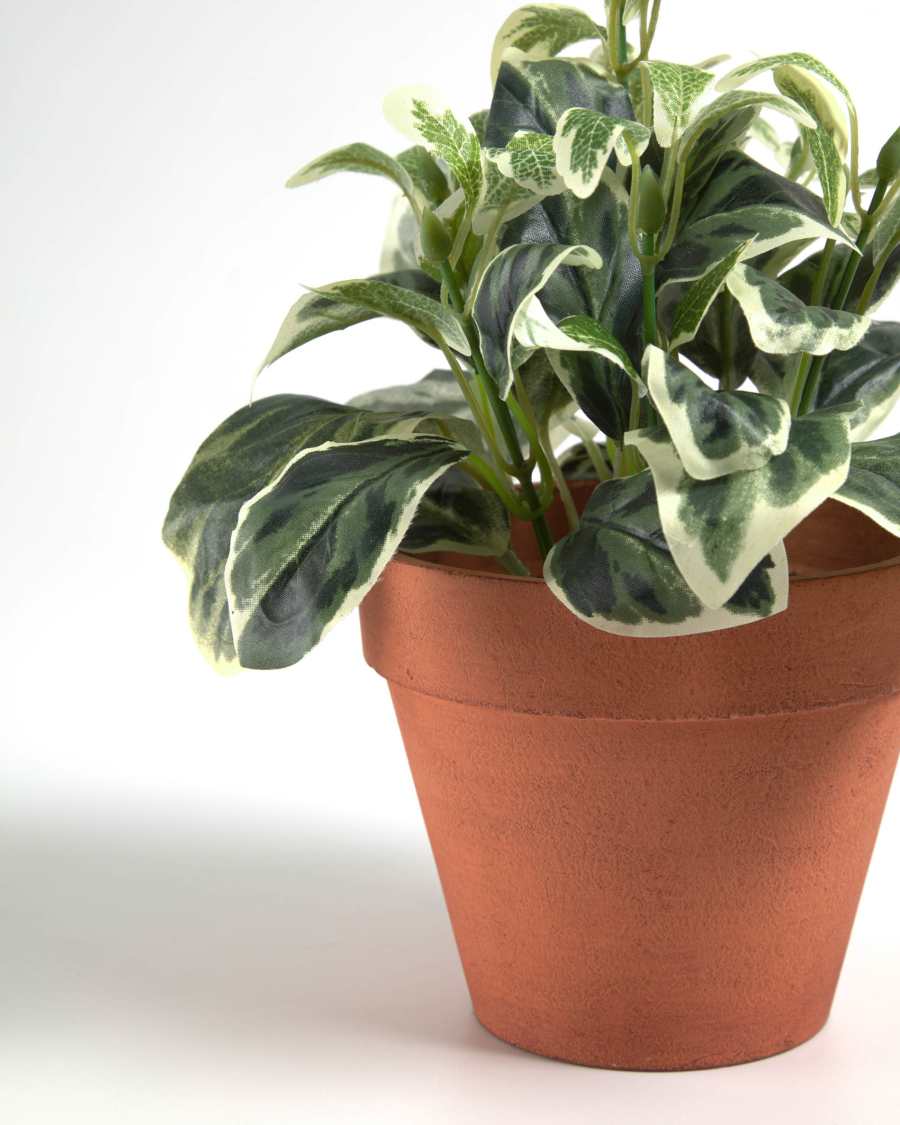 Pianta artificiale Aucuba