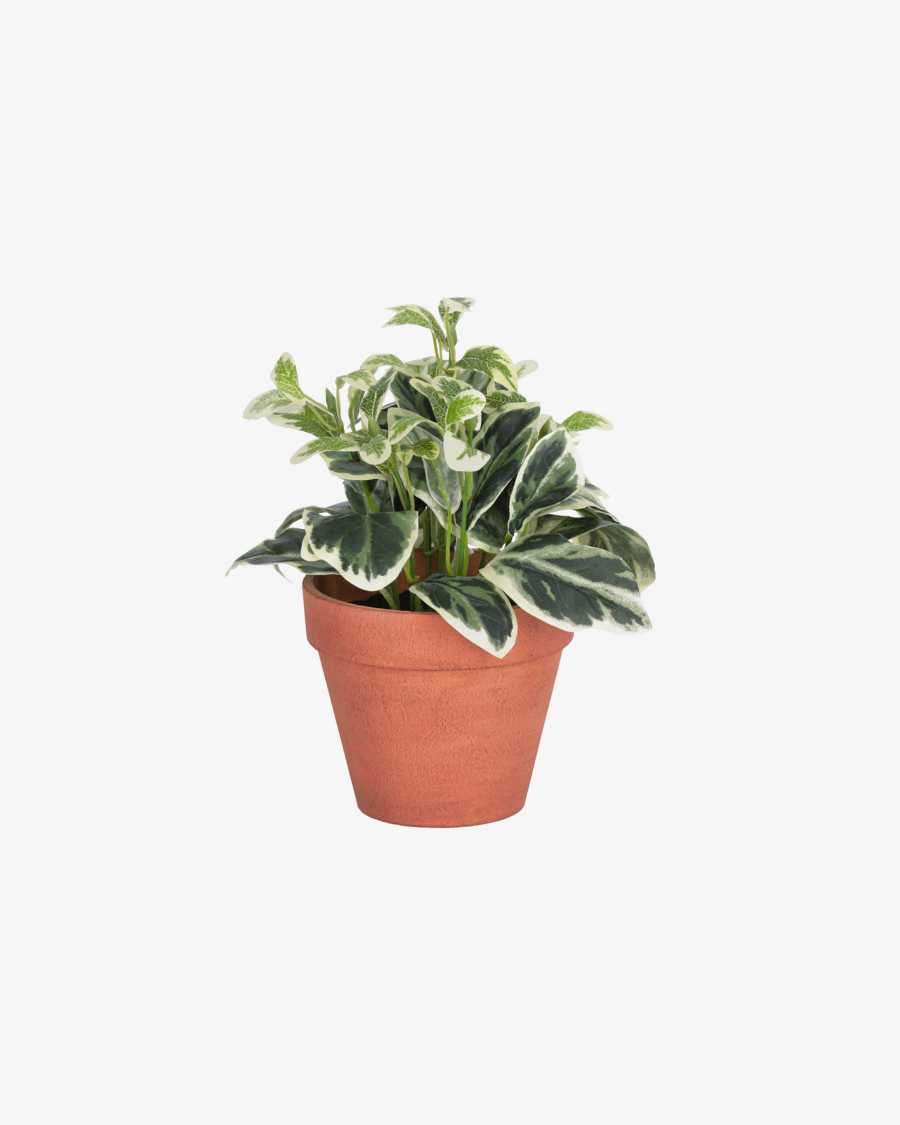 Pianta artificiale Aucuba