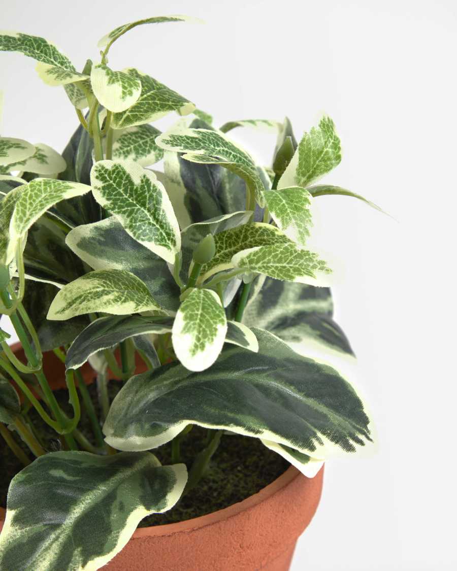 Pianta artificiale Aucuba