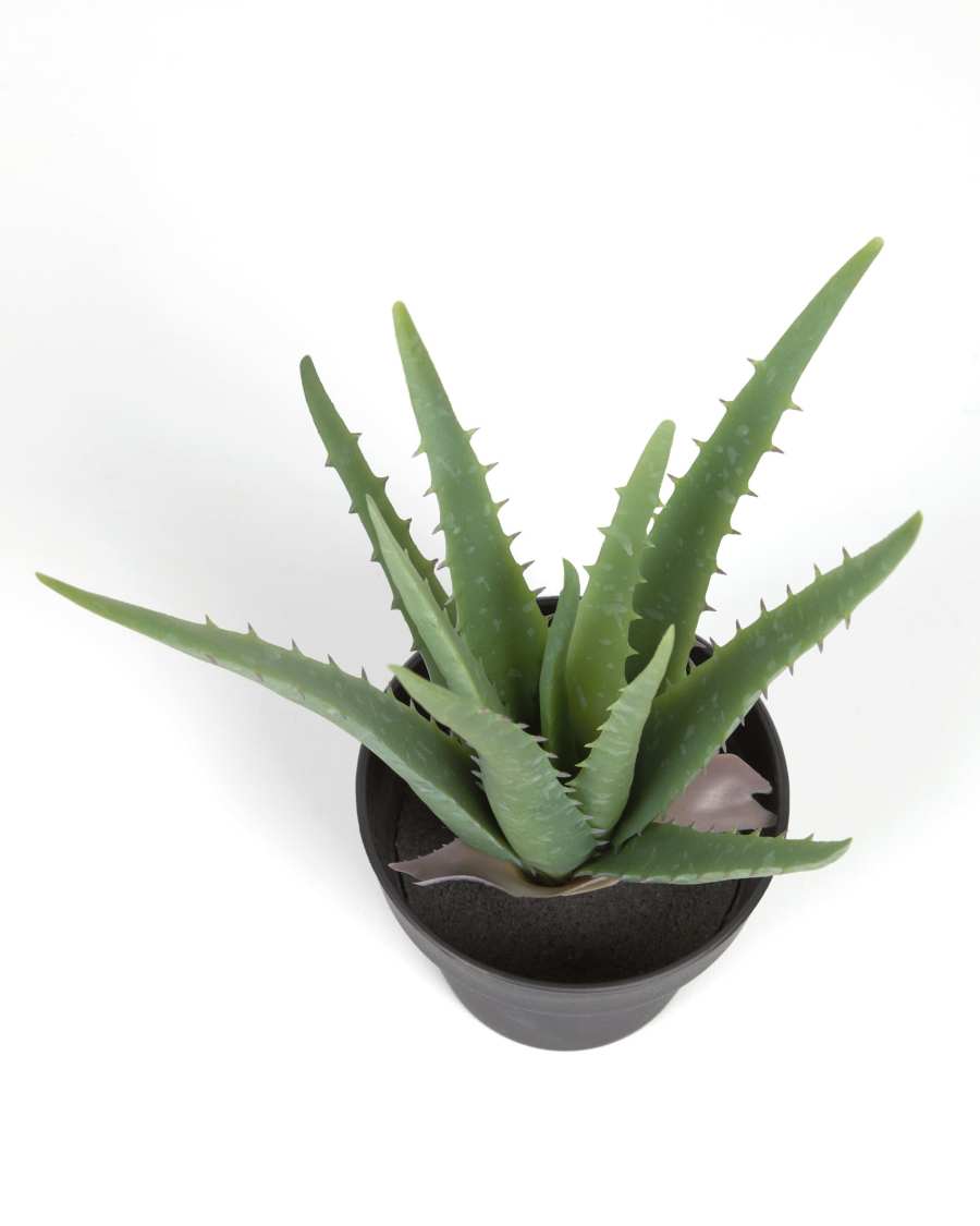Artificial Aloe Vera with black plantpot 36 cm