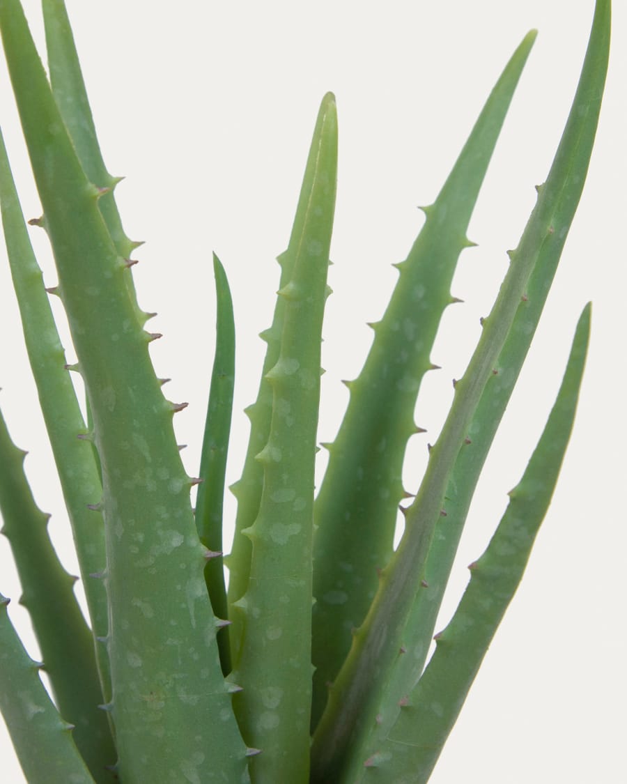 Artificial Aloe Vera with black plantpot 36 cm