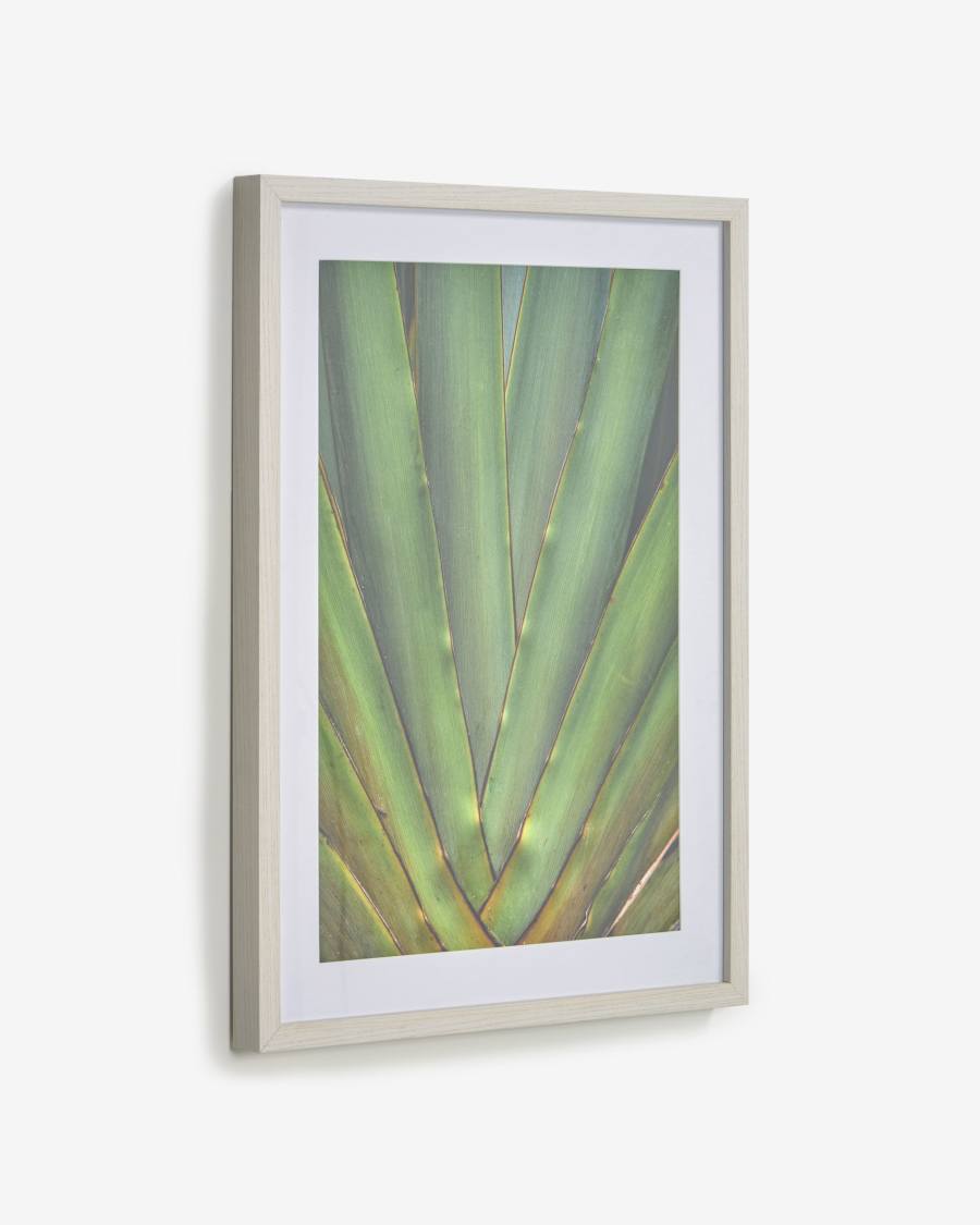 Lyn green aloe vera picture white wood frame 50 x 70 cm