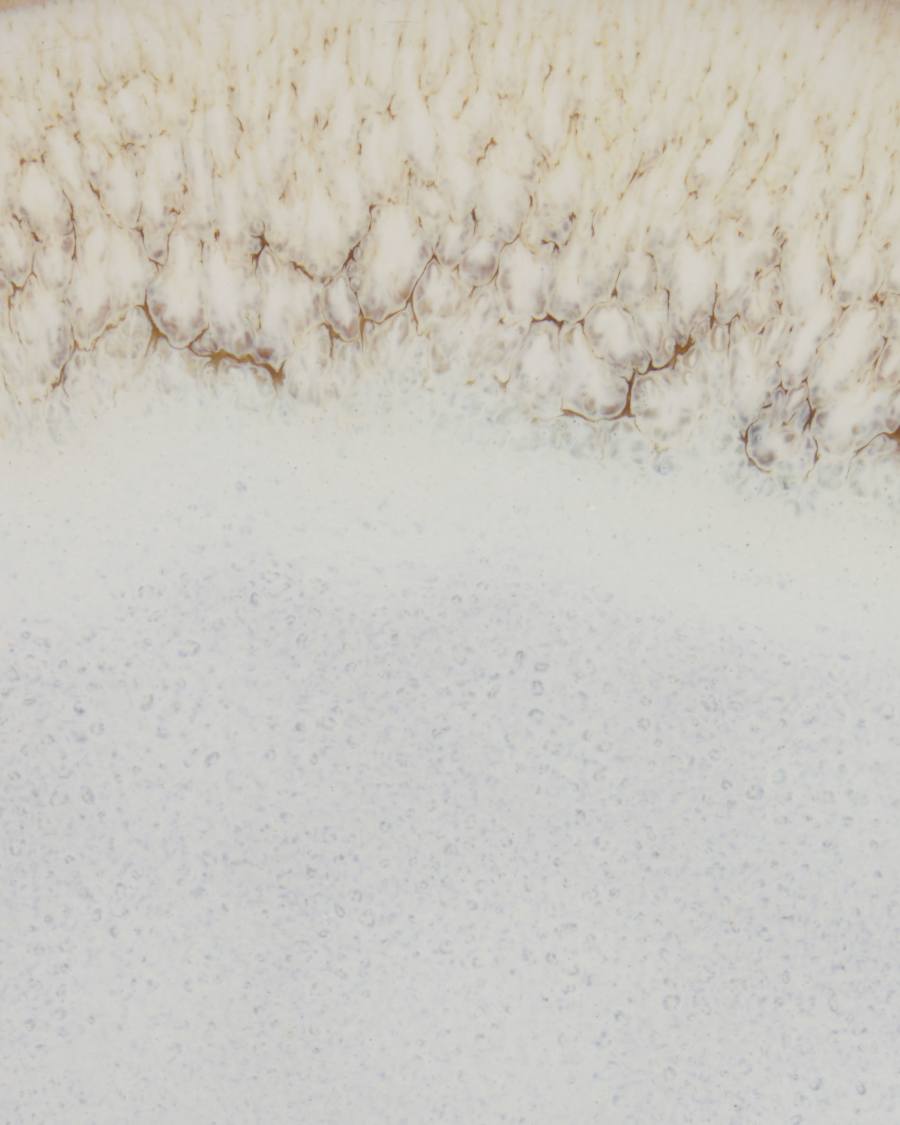 Πιάτο φαγητού Sheilyn, μπεζ