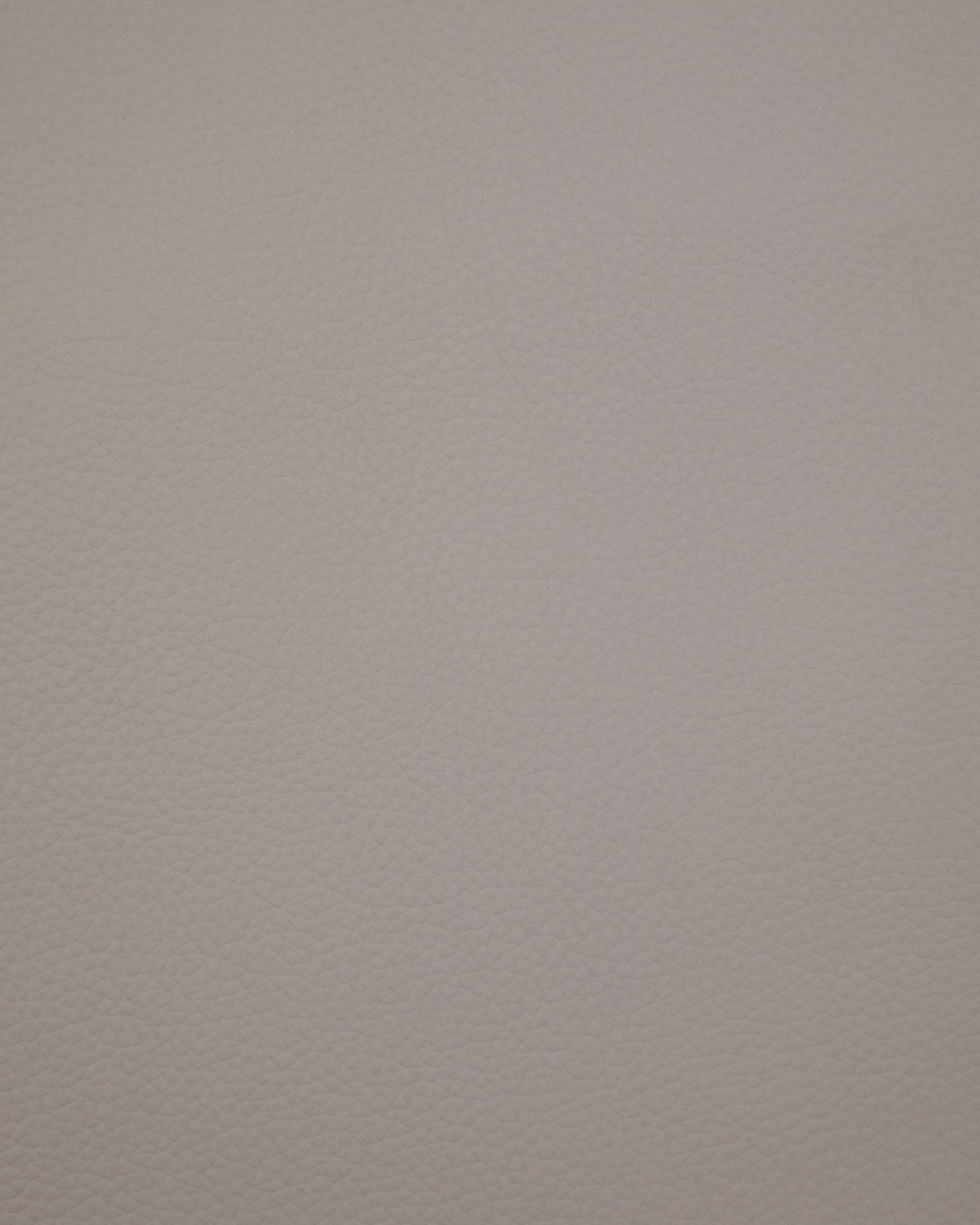 Échantillon de cuir Verso gris clair VO14 10 x 15 cm