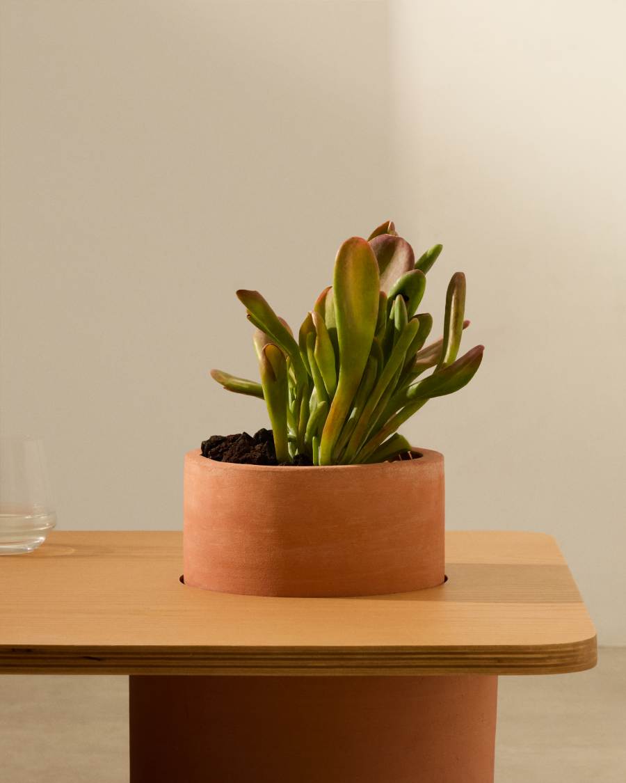 Olaria terracotta coffee table with an oak veneer in a natural finish, 110 x 60 cm