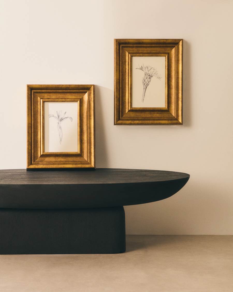 Quadre Yalira il·lustració botànica 33 x 41 cm