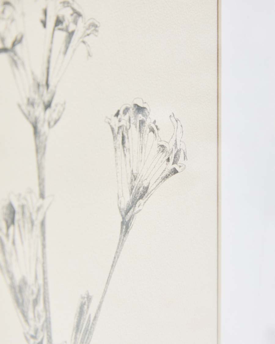 Lirena picture with botanical illustration 50 x 70cm