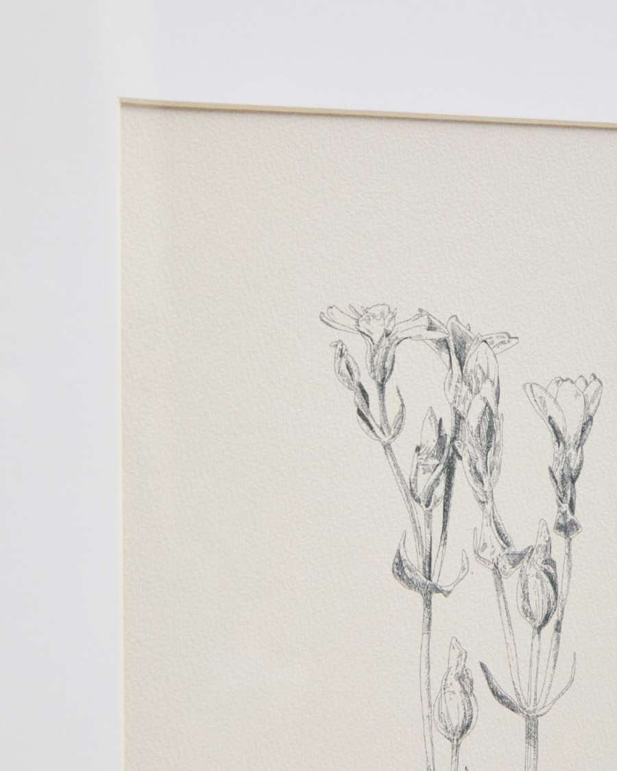 Lirena picture with botanical illustration 50 x 70cm