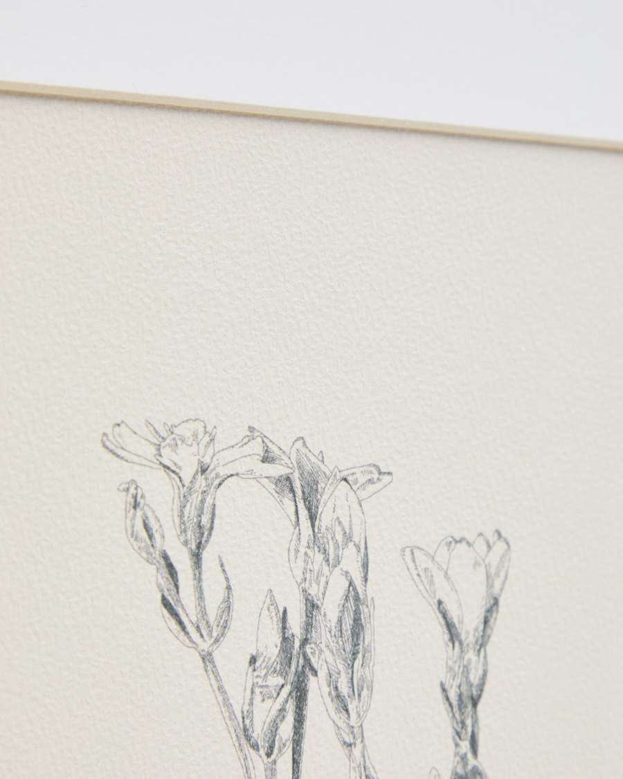 Lirena picture with botanical illustration 50 x 70cm