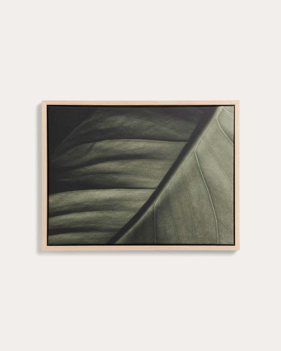 Πίνακας Foliae φωτογραφία φύλλου 32,5 x 42,5 εκ