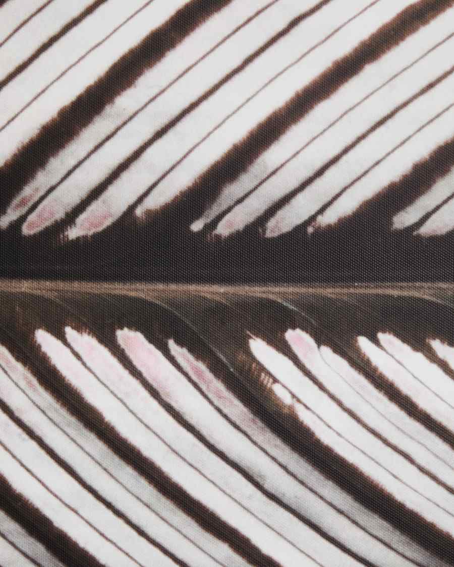 Πίνακας Foliae φωτογραφία φύλλου 52,5 x 62,5 εκ.