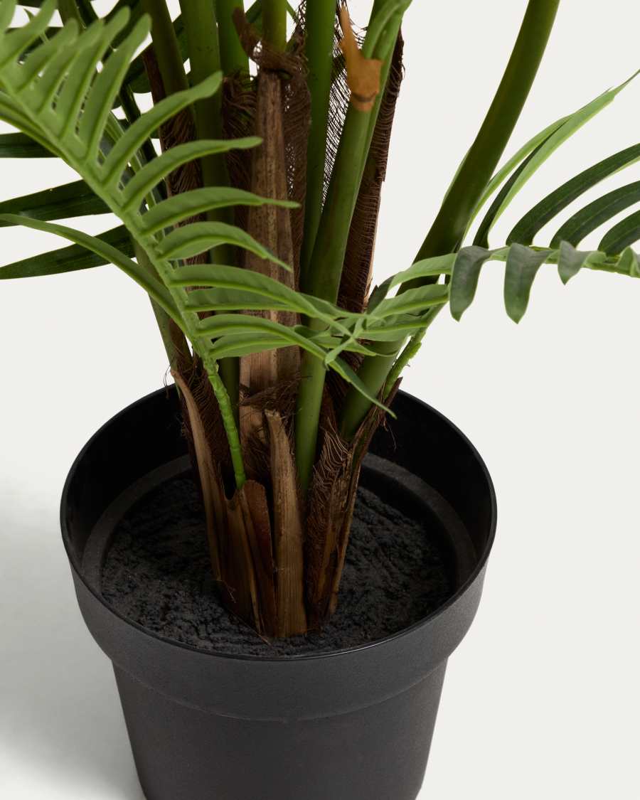 melano variegata Philodendron Melanochrysum Orange Variegated  Curious Plant Killer