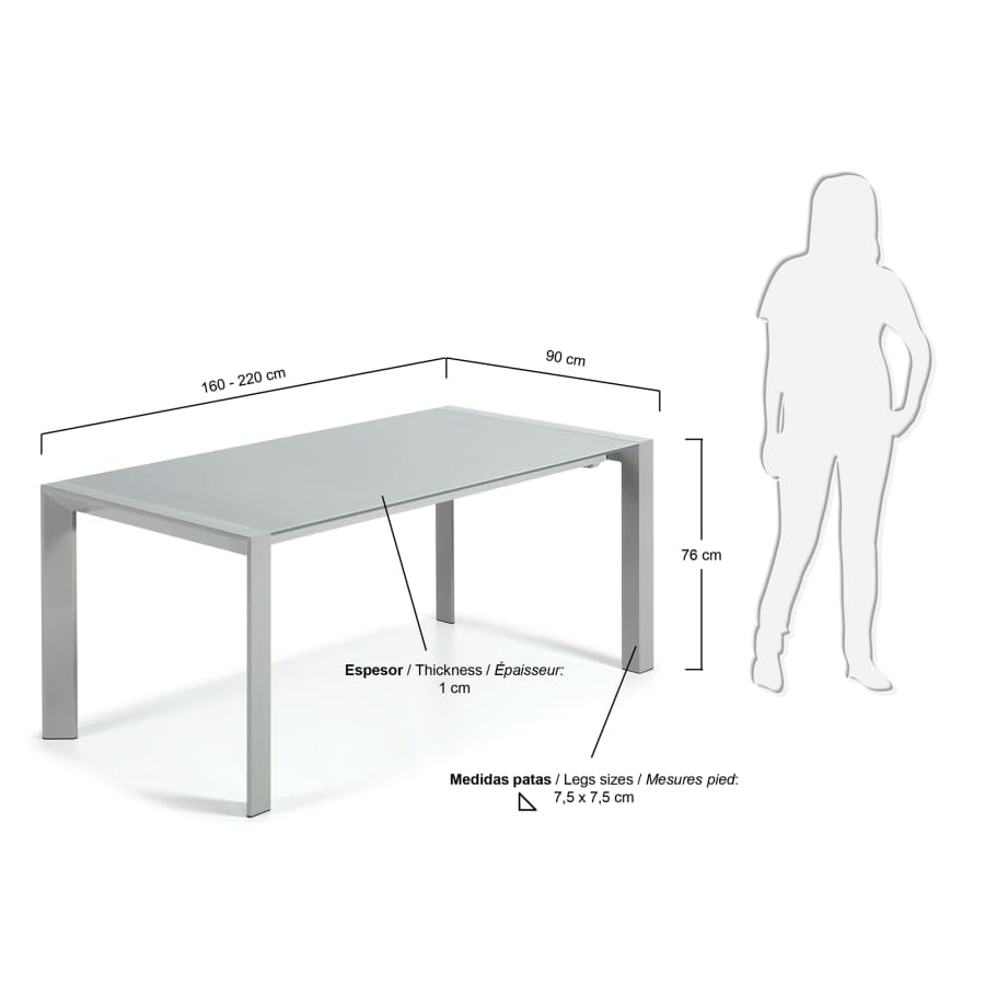 Table extensible Kara 160-220 cm, gris