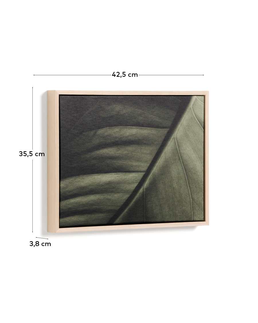 Foliae leaf photograph picture 32.5 x 42.5cm