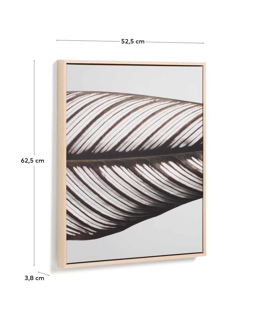 Foliae leaf photograph picture 52.5 x 62.5cm