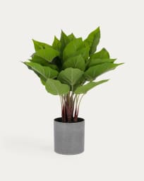 Planta artificial Anthurium amb test de ciment 50 cm