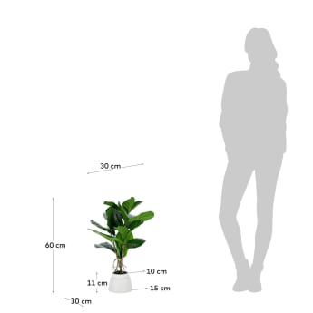 Sztuczna roślina Lyrata z ceramiczną doniczką białą 60 cm - rozmiary