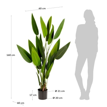 Planta artificial Strelitzia nicolai amb test negre 160 cm - mides