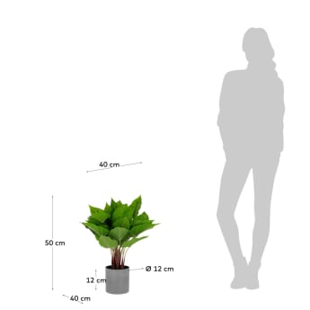 Planta artificial Anthurium amb test de ciment 50 cm - mides